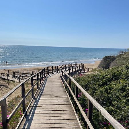 Appartamento In Villa Con Giardino Vicino Al Mare Bella Farnia エクステリア 写真