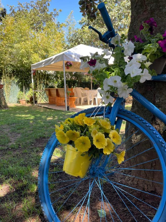 Appartamento In Villa Con Giardino Vicino Al Mare Bella Farnia エクステリア 写真