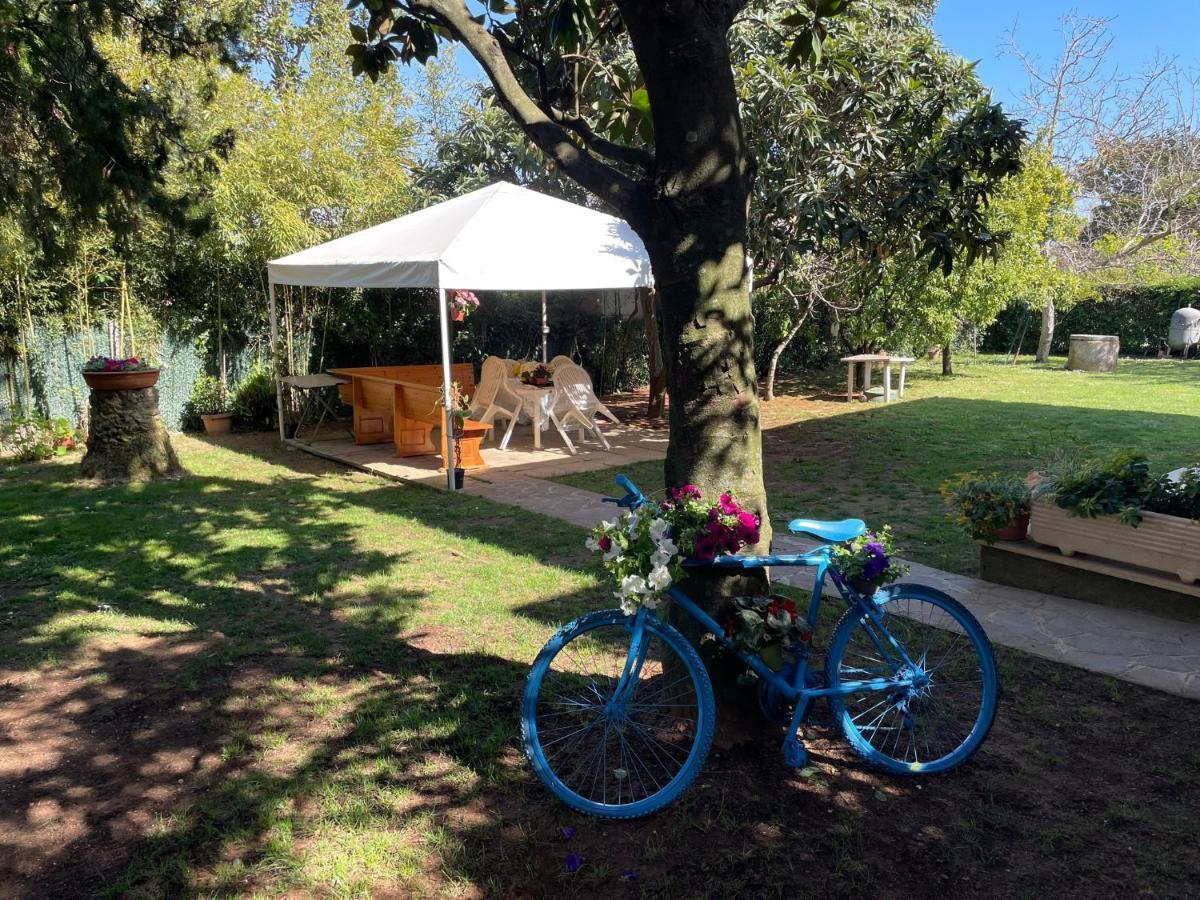 Appartamento In Villa Con Giardino Vicino Al Mare Bella Farnia エクステリア 写真