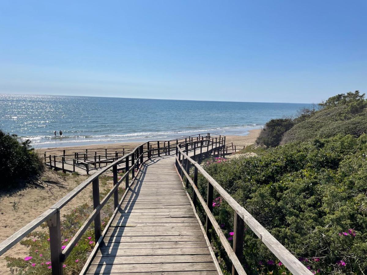Appartamento In Villa Con Giardino Vicino Al Mare Bella Farnia エクステリア 写真